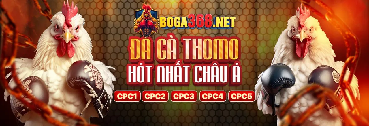 Sân đấu đá gà trực tuyến sôi động tại w9bet Nổ Hũ